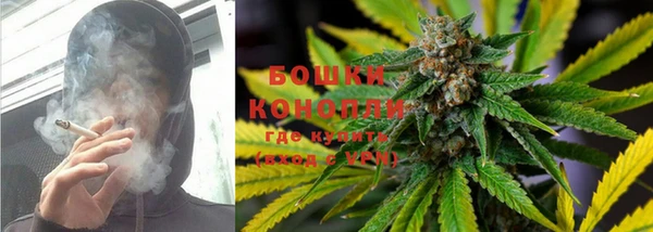 крисы Алзамай